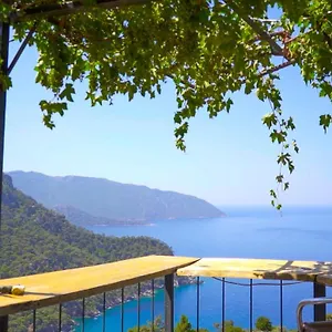 kabak-mammas-pension-restaurant-terrace-bar.aegeanhotels.net/